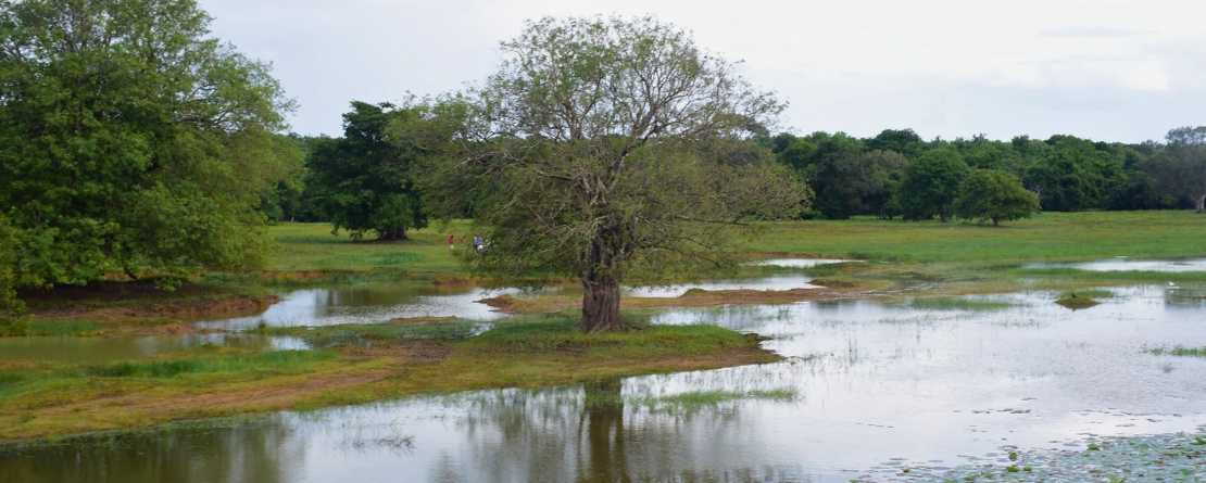 The Cascaded Tank-Village System in the Dry Zone of Sri Lanka, Sri Lanka The Cascaded Tank-Village System in the Dry Zone of Sri Lanka, Sri Lanka