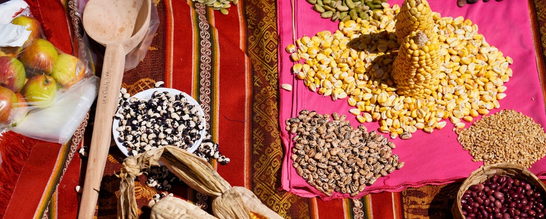 Andean chakra: an ancestral agricultural system of Kichwas Cotacachi Communities, Ecuador Andean chakra: an ancestral agricultural system of Kichwas Cotacachi Communities, Ecuador