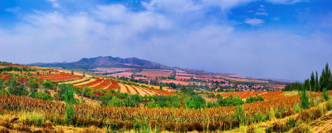 Rice-Fish-Aohan Dryland Farming System, China Aohan Dryland Farming System, China