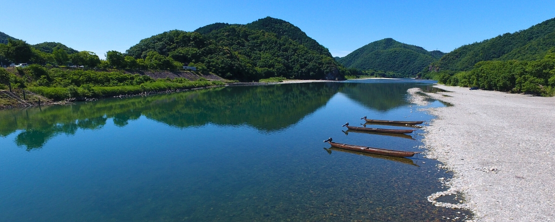 Ayu of the Nagara River System, Japan