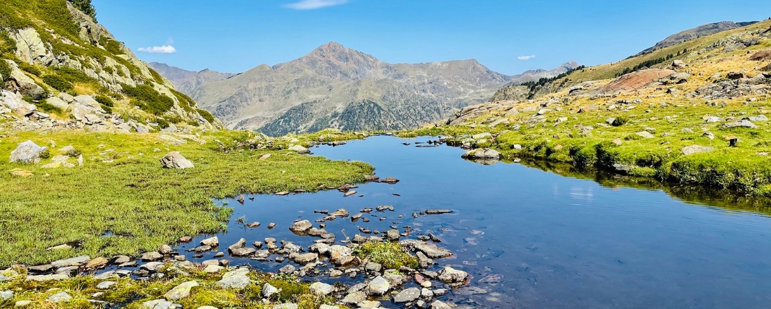 The subalpine pastures of Andorra The subalpine pastures of Andorra
