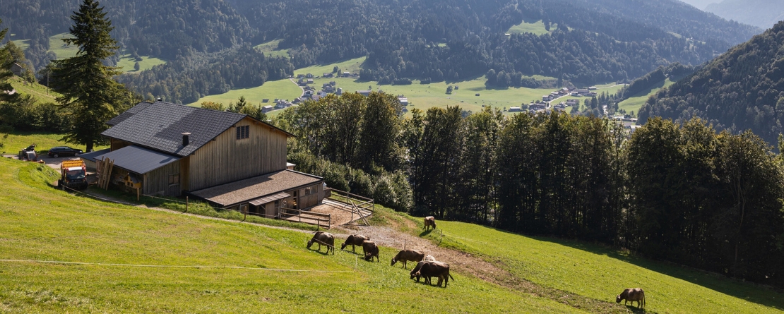 Traditional Hay milk Farming in the Austrian Alpine Arc, Austria Traditional Hay milk Farming in the Austrian Alpine Arc, Austria
