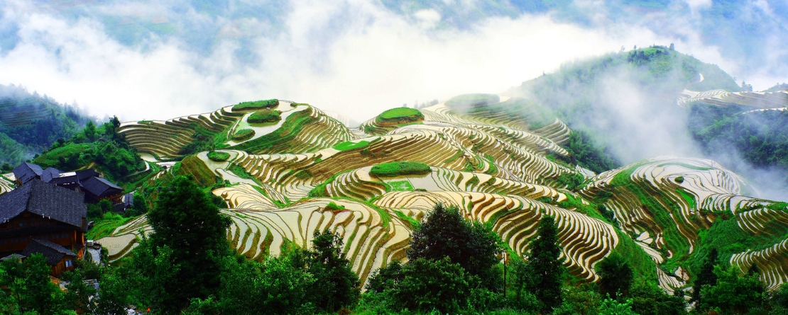 Rice Terraces in Southern Mountainous and Hilly areas, China Rice Terraces in Southern Mountainous and Hilly areas, China