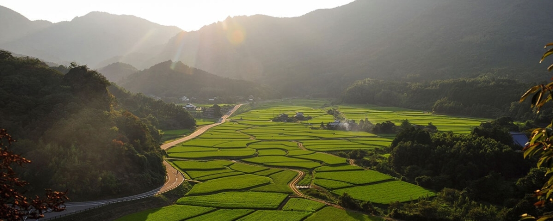 Kunisaki Peninsula Usa Integrated Forestry, Agriculture and Fisheries Systems, Japan