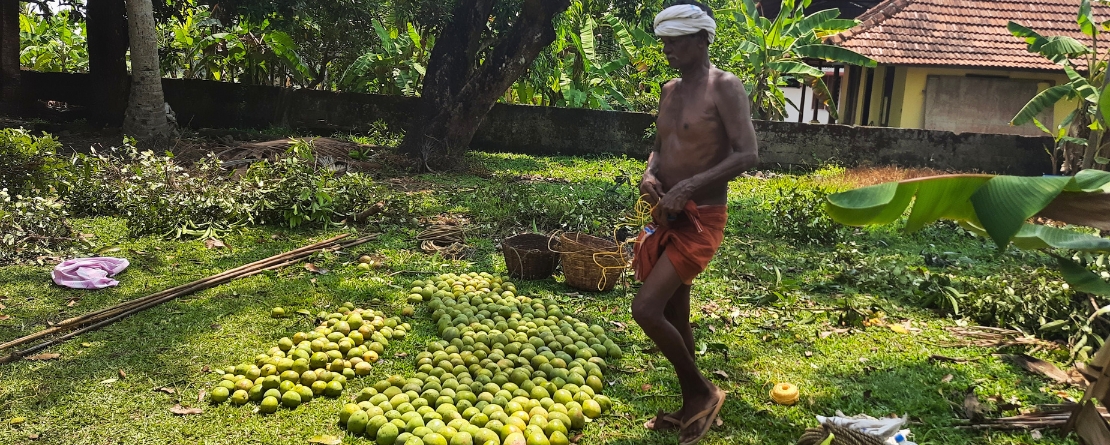Kuttanad Below Sea Level Farming System, India Kuttanad Below Sea Level Farming System, India