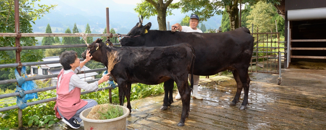 Symposium international sur le programme SIPAM et l'agriculture familiale