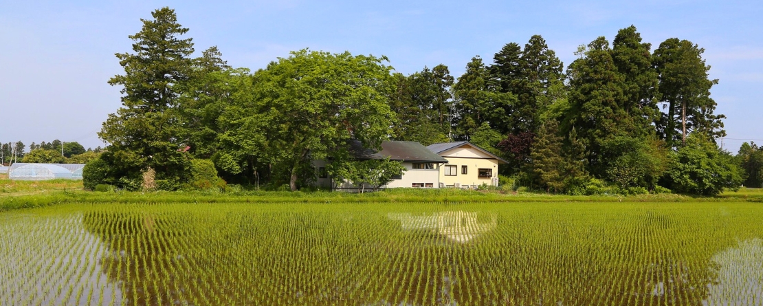 Osaki Kôdo