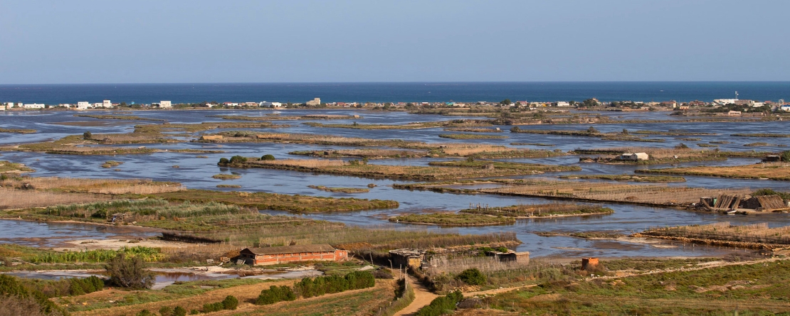 Ramli agricultural system in the lagoons of Ghar El Melh, Tunisia Ramli agricultural system in the lagoons of Ghar El Melh, Tunisia