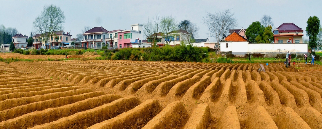 Kuancheng Traditional Chestnut Eco-Planting System in Hebei Province, China