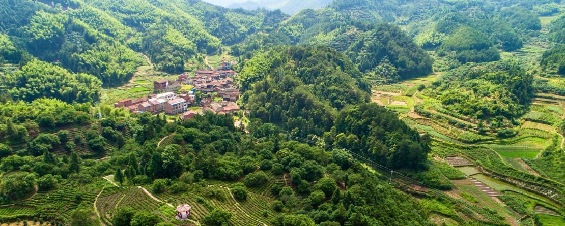 Kuancheng Traditional Chestnut Eco-Planting System in Hebei Province, China