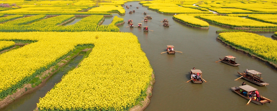 Photo courtesy of GIAHS (Xinghua Duotian Agrosystem, China Photo courtesy of GIAHS (Xinghua Duotian Agrosystem, China