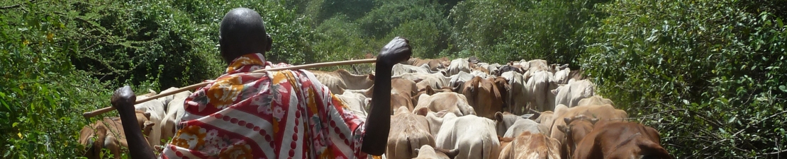 Kenya Maasai