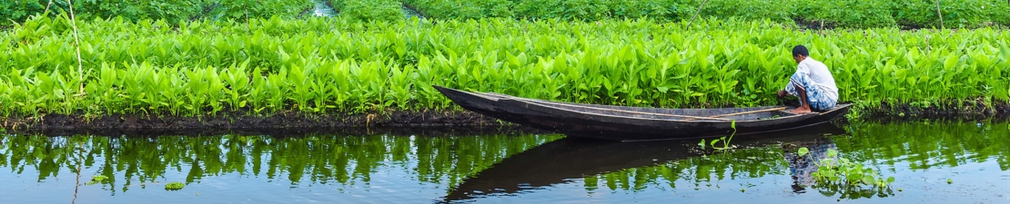 Bangladesh Bangladesh