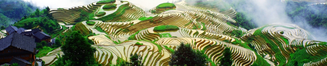 China China