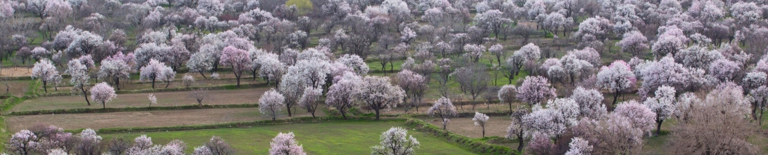 Iran Iran