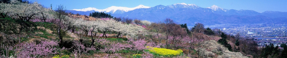 Japan Japan