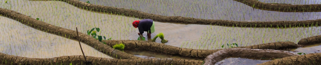 Philippines Philippines