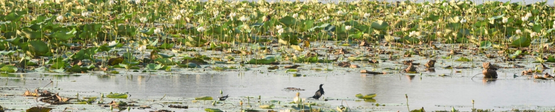 Sri Lanka Sri Lanka
