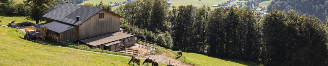 Austria Austria