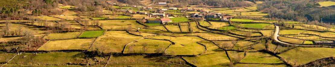 Portugal Portugal