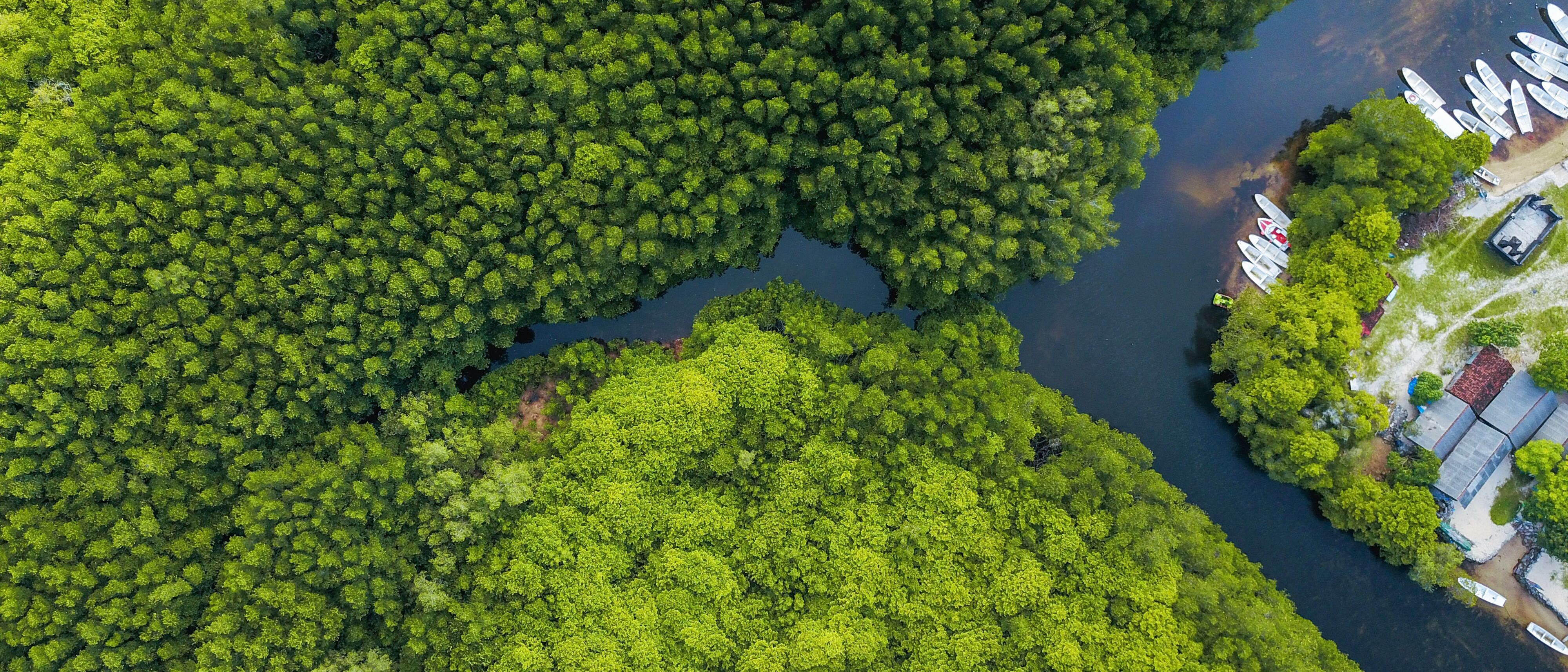 © Unsplash/Joel Vodell © Unsplash/Joel Vodell