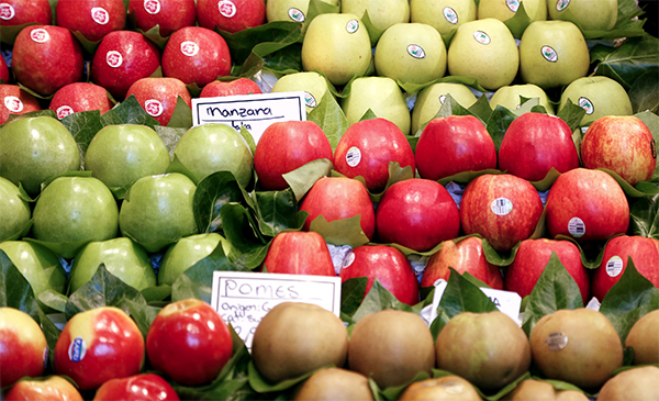 Workshop: Resolving agricultural trade issues through the WTO