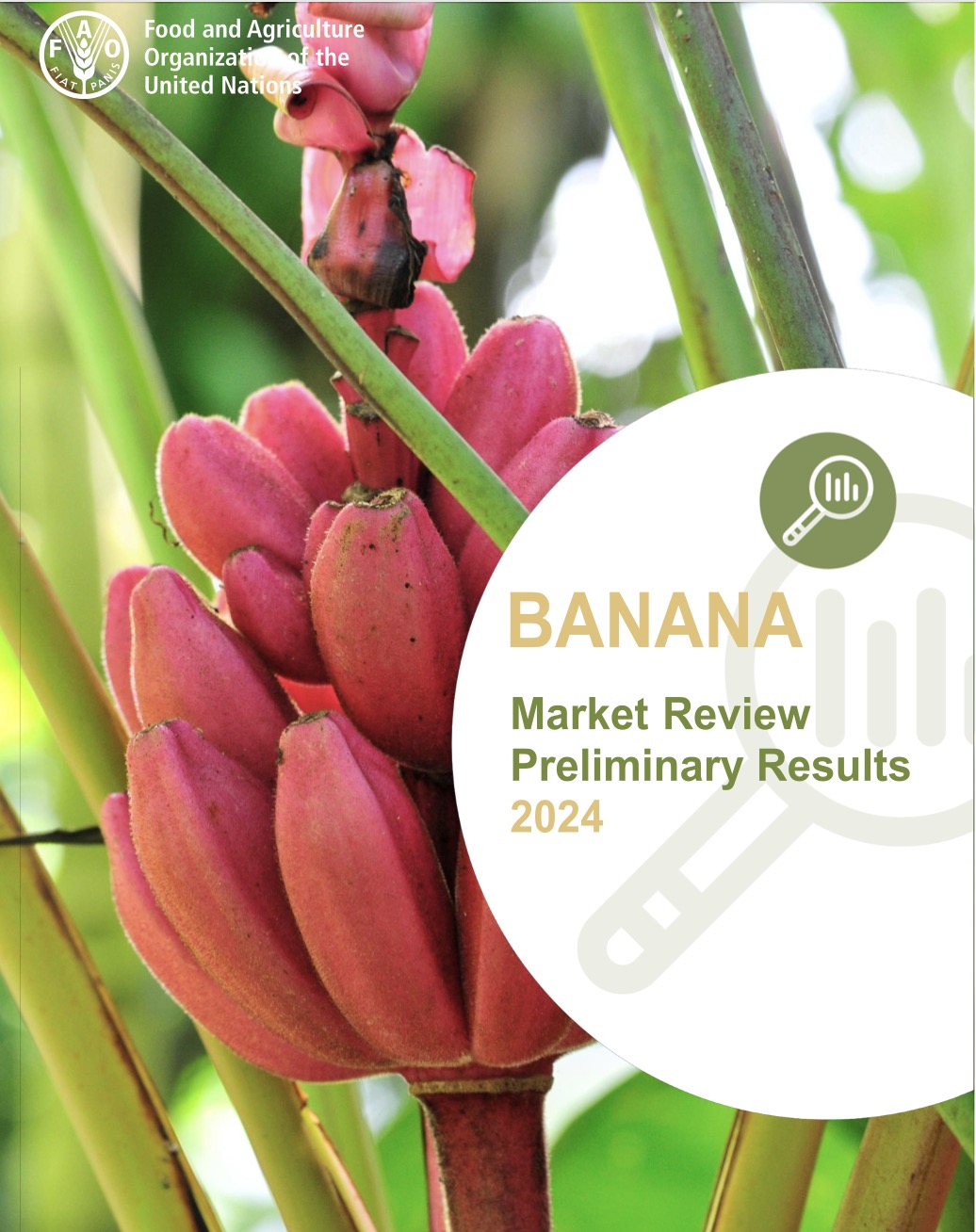 banana-market-review-prelim-2024