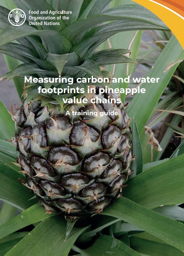 CWT PINEAPPLE
