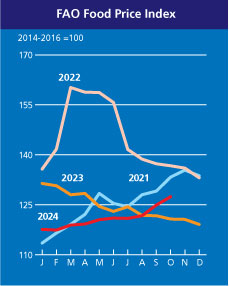 fpi-nov-2024-EN