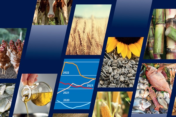 food_outlook_nov_2023