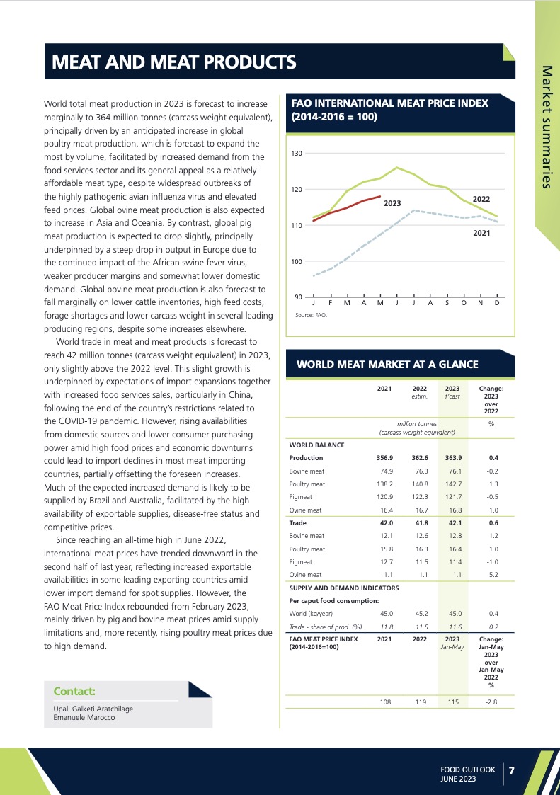 meat-market-summary-2023