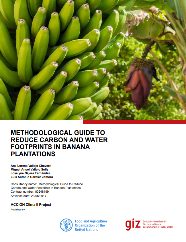 METHODOLOGICAL GUIDE