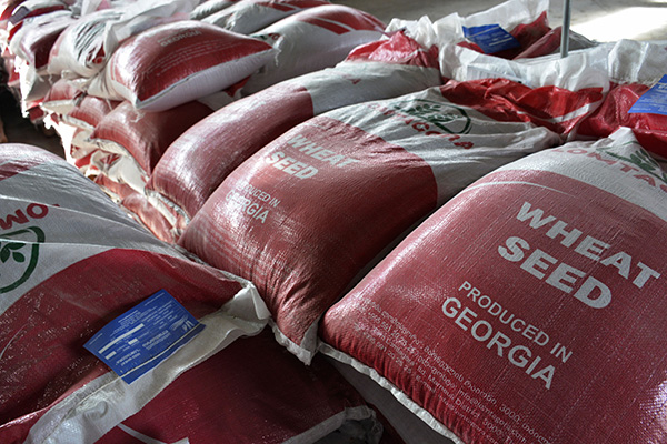 Seminar | Trade policy, WTO and development of agricultural markets in Post-Soviet countries