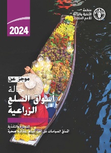soco2024_inbrief_ar-cover