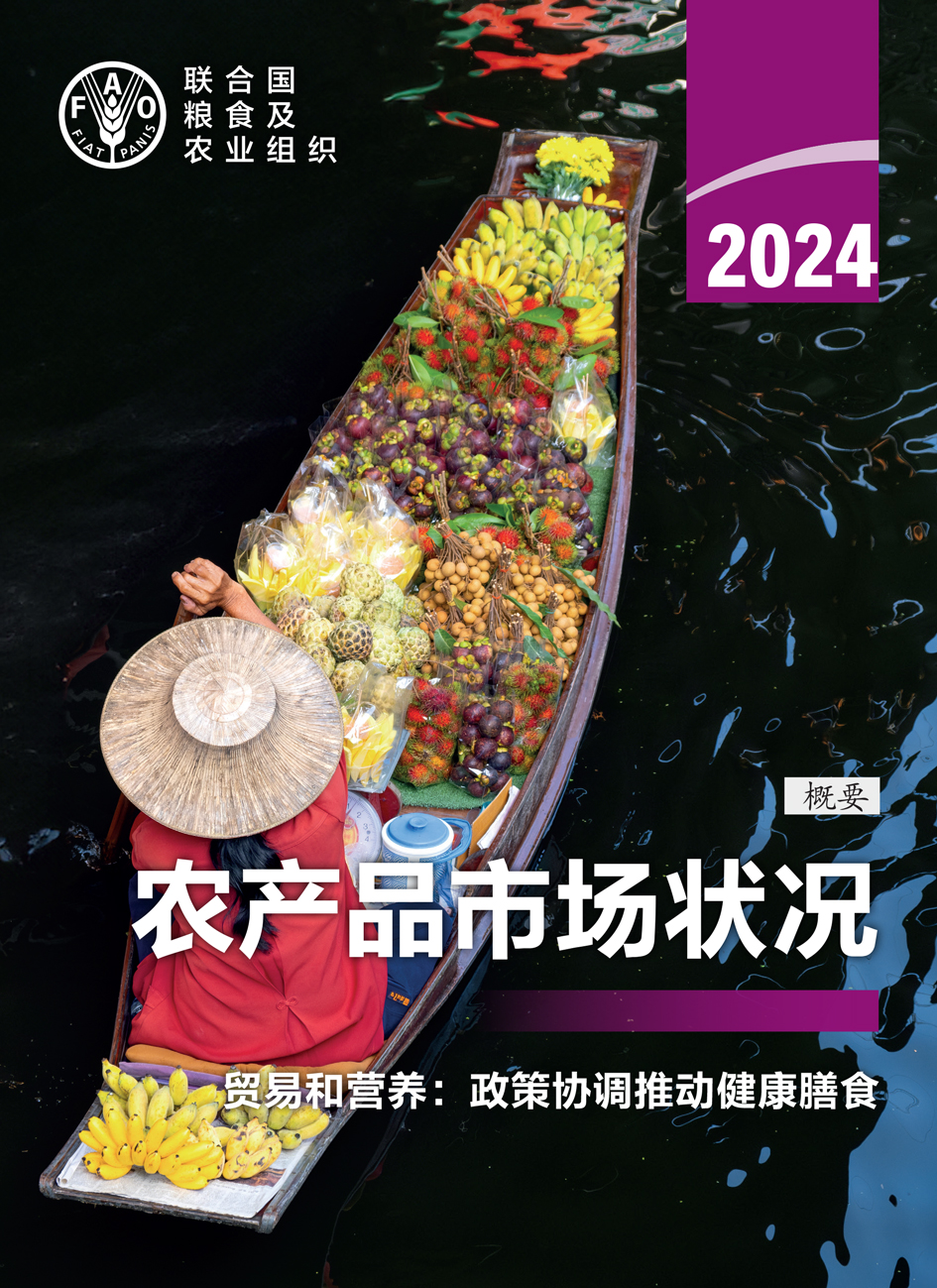 soco2024_inbrief_zhhigh_res_cover