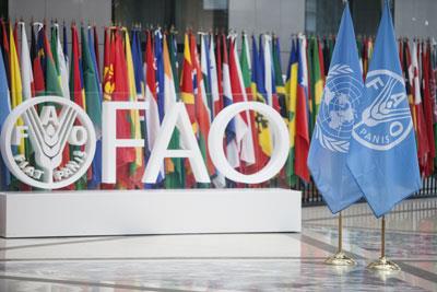 Regional Training Workshop for CIS countries: WTO accession and agricultural policy