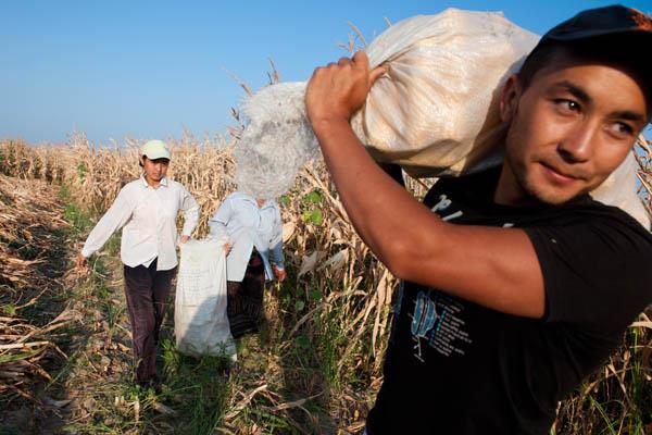 Workshop: Agricultural export promotion in Kyrgyzstan