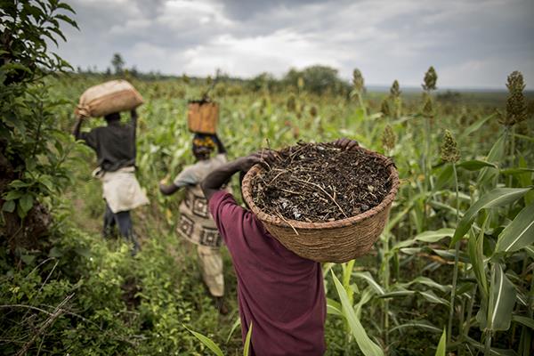 Dialogue: Developing a coherent national policy framework on agricultural trade