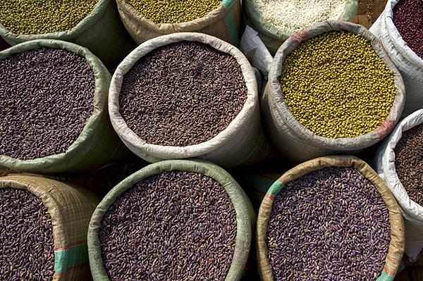Dialogue: Developing a coherent national policy framework on agricultural trade