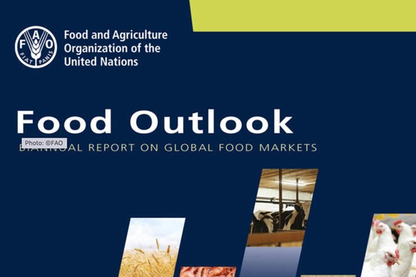 food_outlook_june_2021