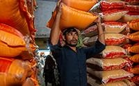FPI1-FAO_PO_BGD_20201007_thumb