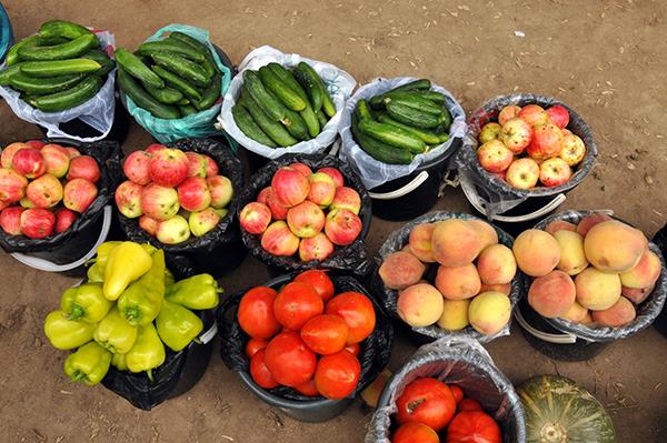 Expert consultation on trade and nutrition