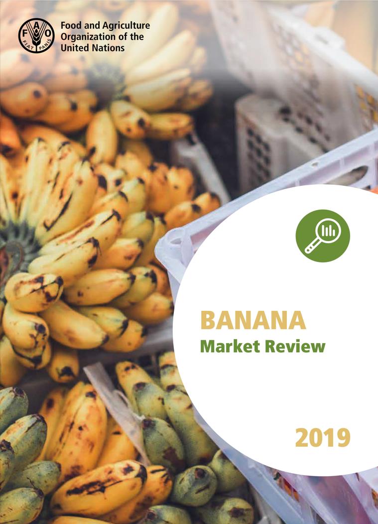 1_banana_market_review_2019