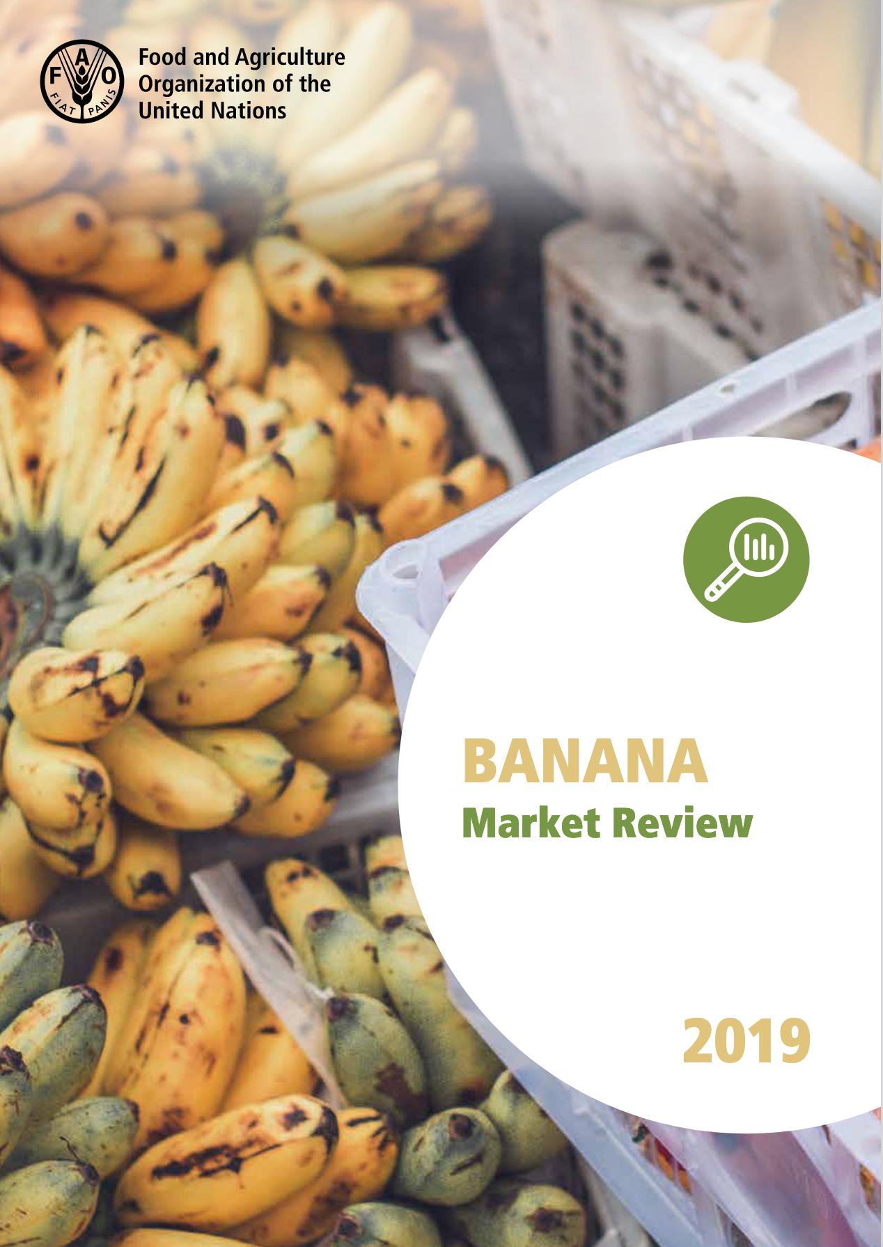 banana_market_review_2019