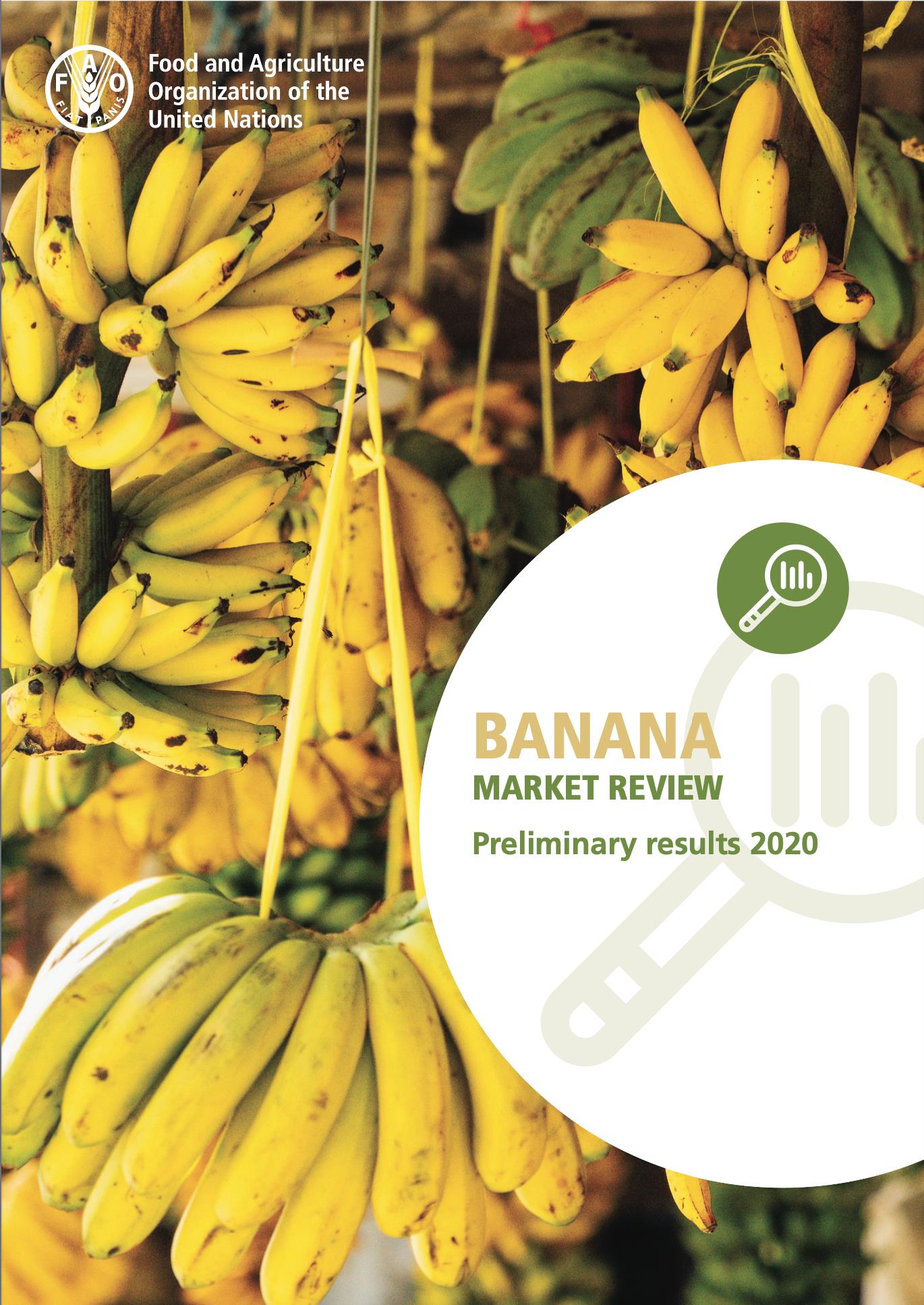 banana_market_review_2020