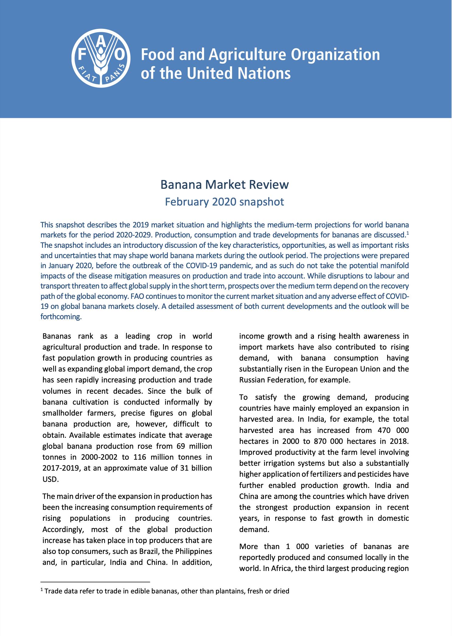 banana_market_review_snapshot_2020