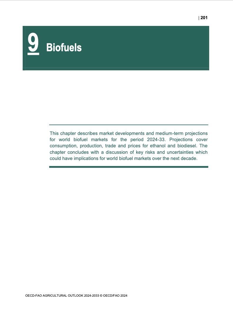 biofuels-2024-en
