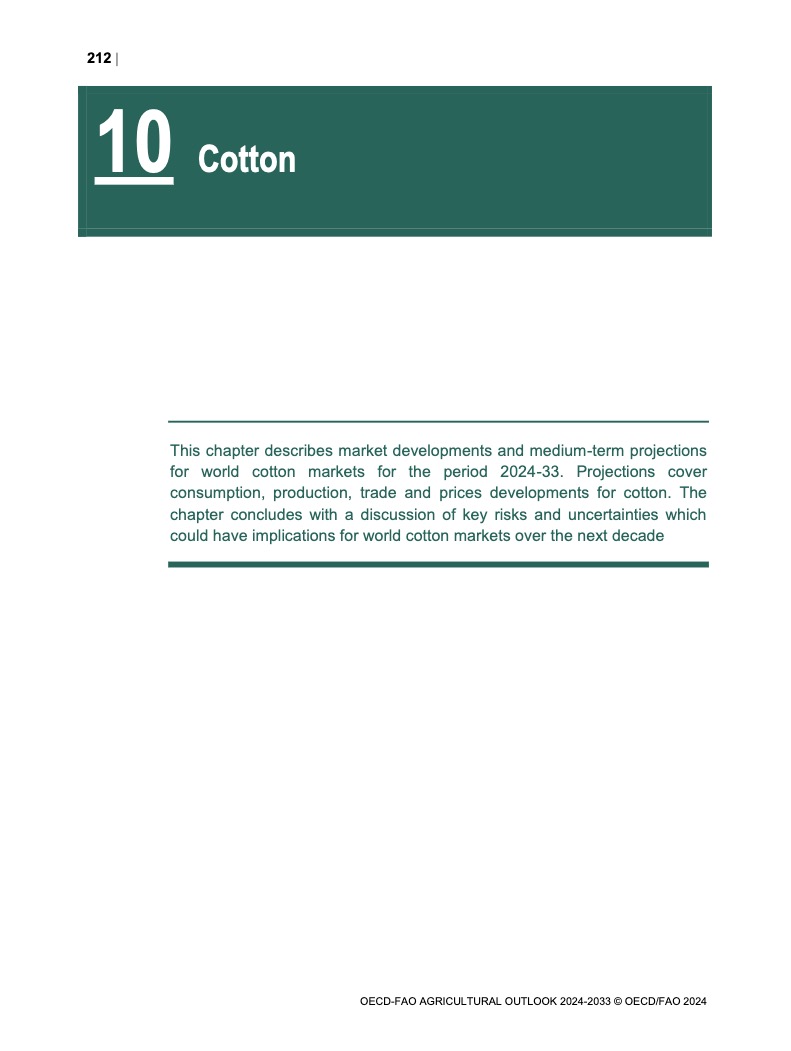 cotton-2024-en