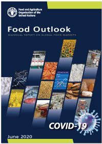 food_outlook_june_2020