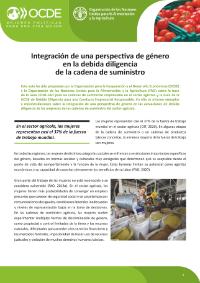 integrating_gender_perspective